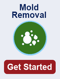 mold remediation in Broomfield TN